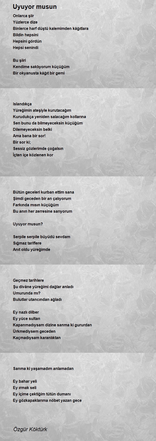 Özgür Köktürk