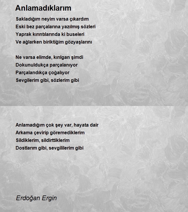 Erdoğan Ergin