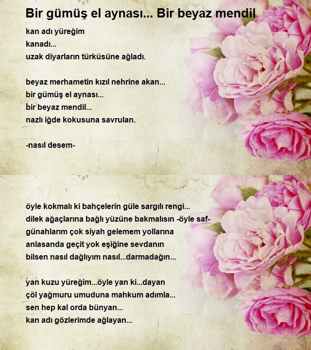 Hasan Akın