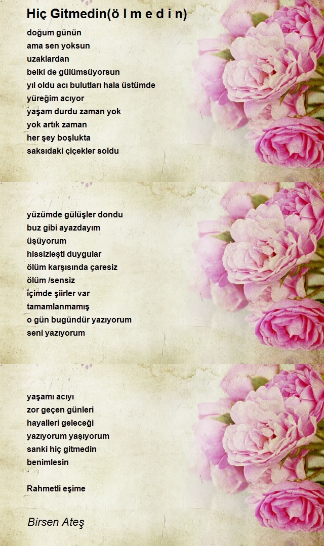 Birsen Ateş