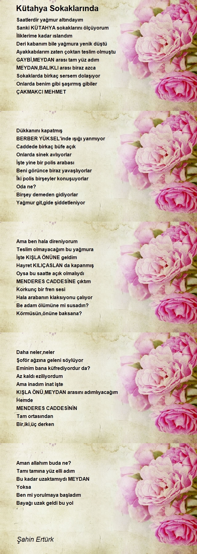 Şahin Ertürk