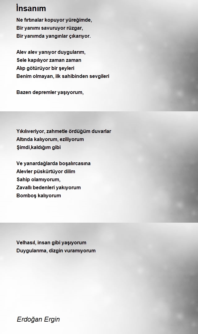 Erdoğan Ergin