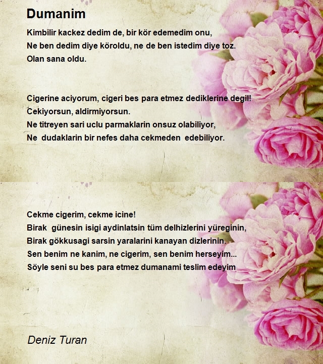 Deniz Turan