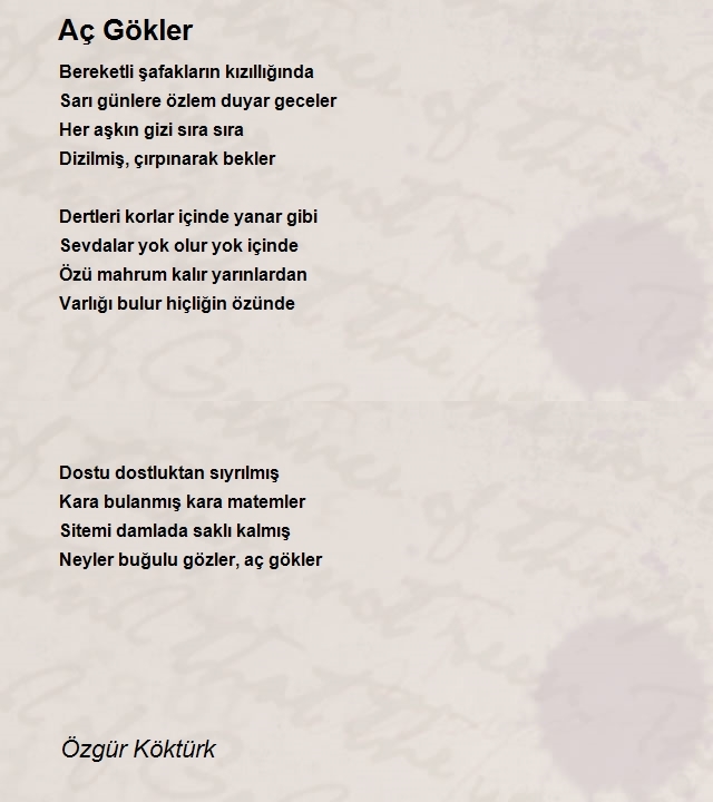 Özgür Köktürk