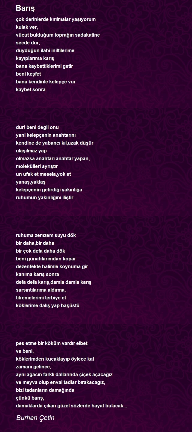 Burhan Çetin