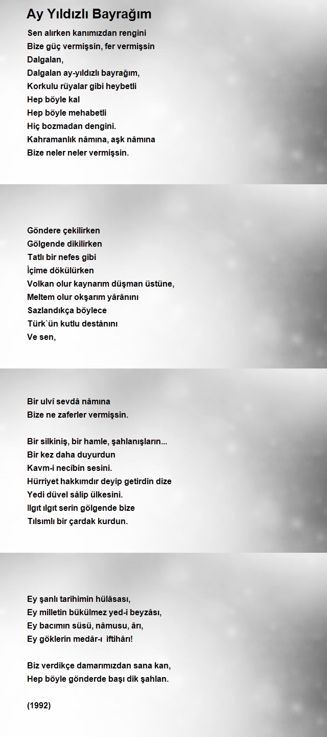 Nizamettin Saltan