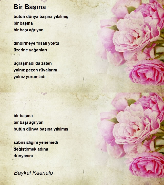 Baykal Kaanalp