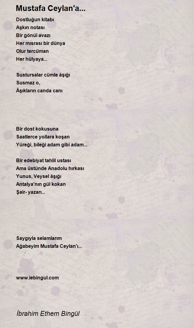 İbrahim Ethem Bingül