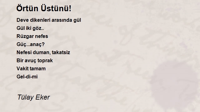 Tülay Eker