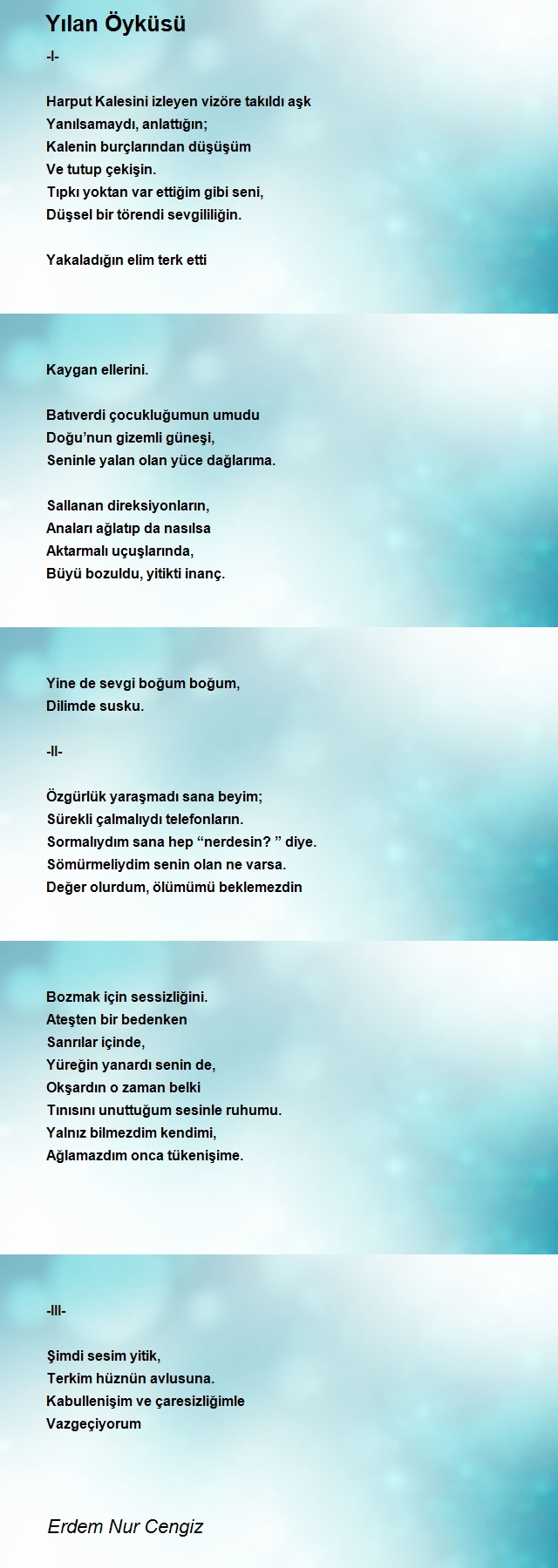 Erdem Nur Cengiz