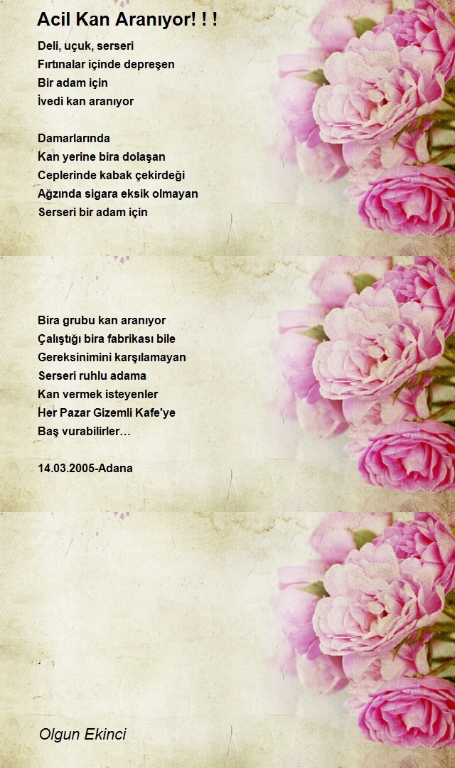 Olgun Ekinci
