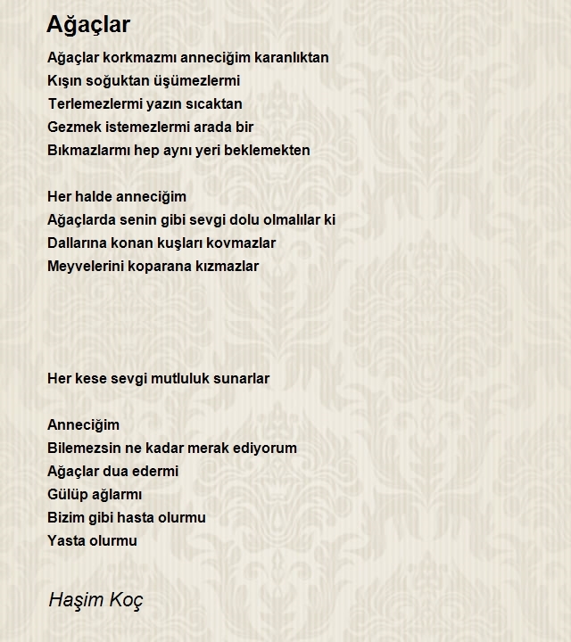 Haşim Koç