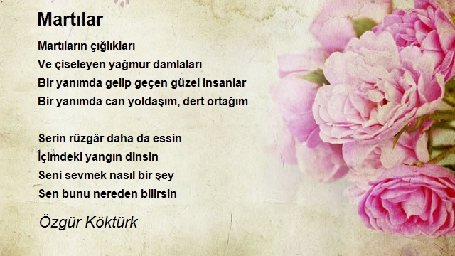Özgür Köktürk