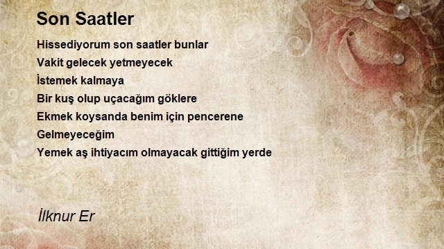 İlknur Er