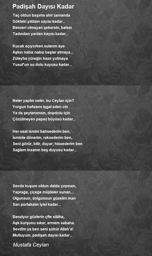 Mustafa Ceylan