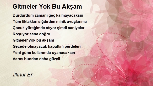 İlknur Er