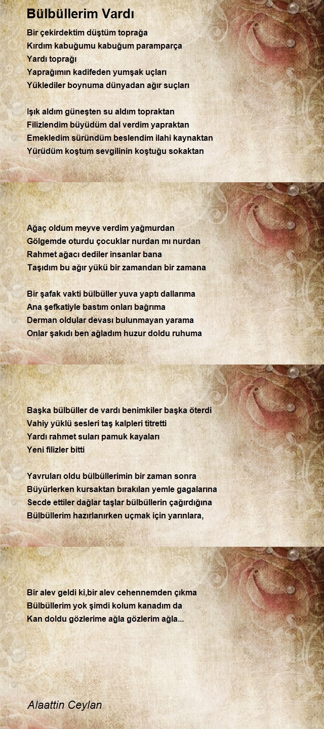 Alaattin Ceylan