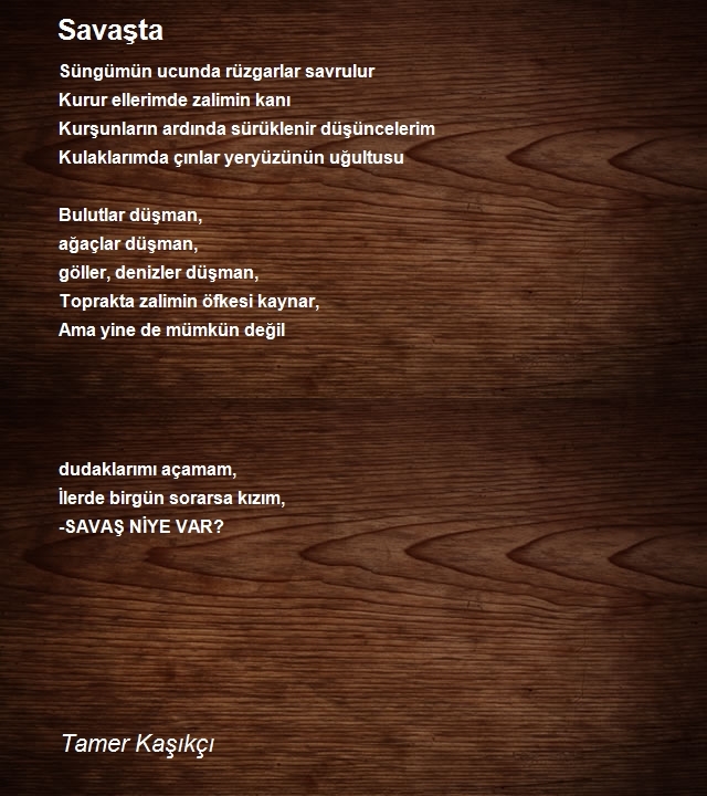 Tamer Kaşıkçı