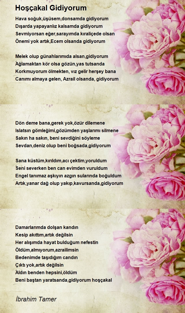 İbrahim Tamer