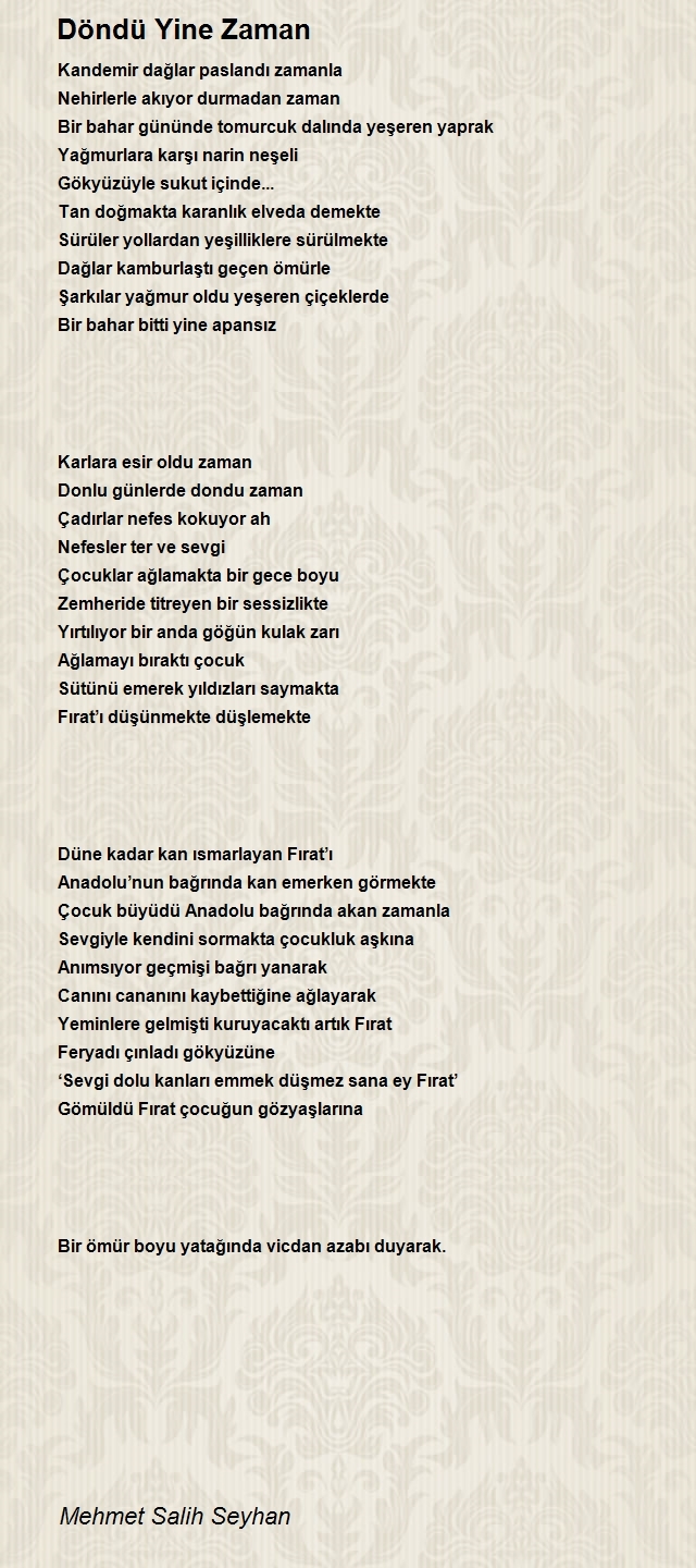 Mehmet Salih Seyhan