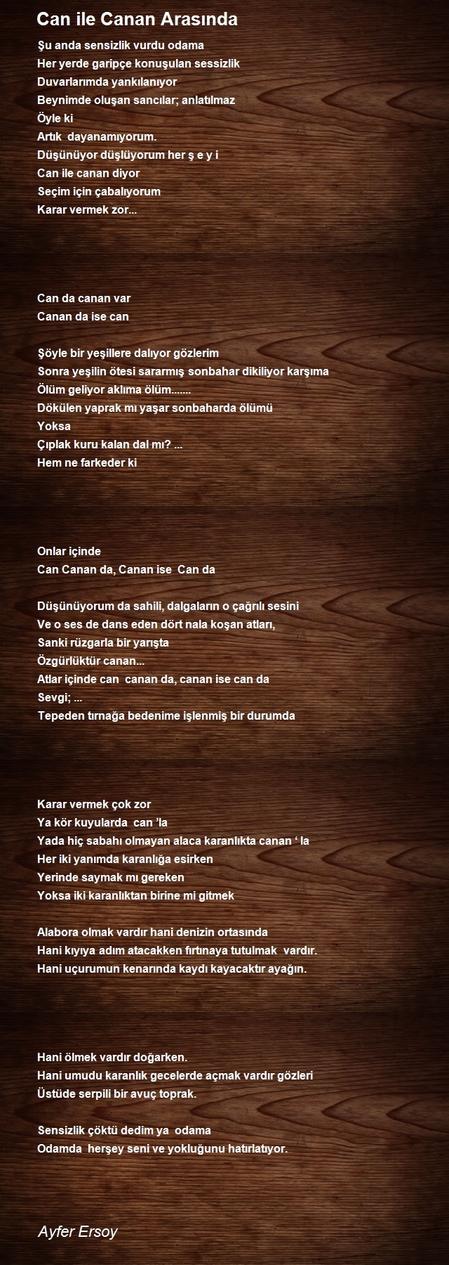 Ayfer Ersoy