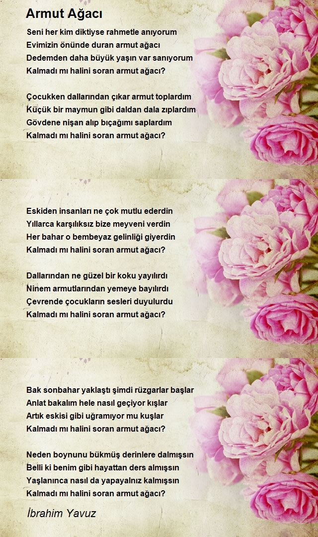 İbrahim Yavuz