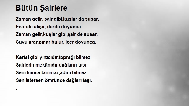 Veysel Alkan