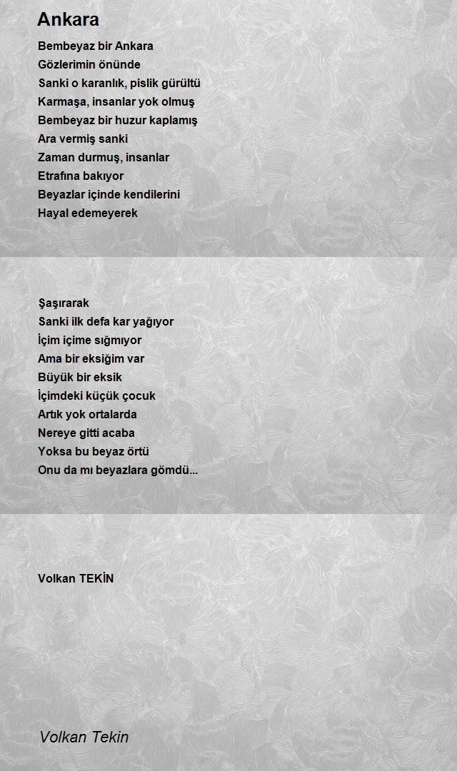 Volkan Tekin