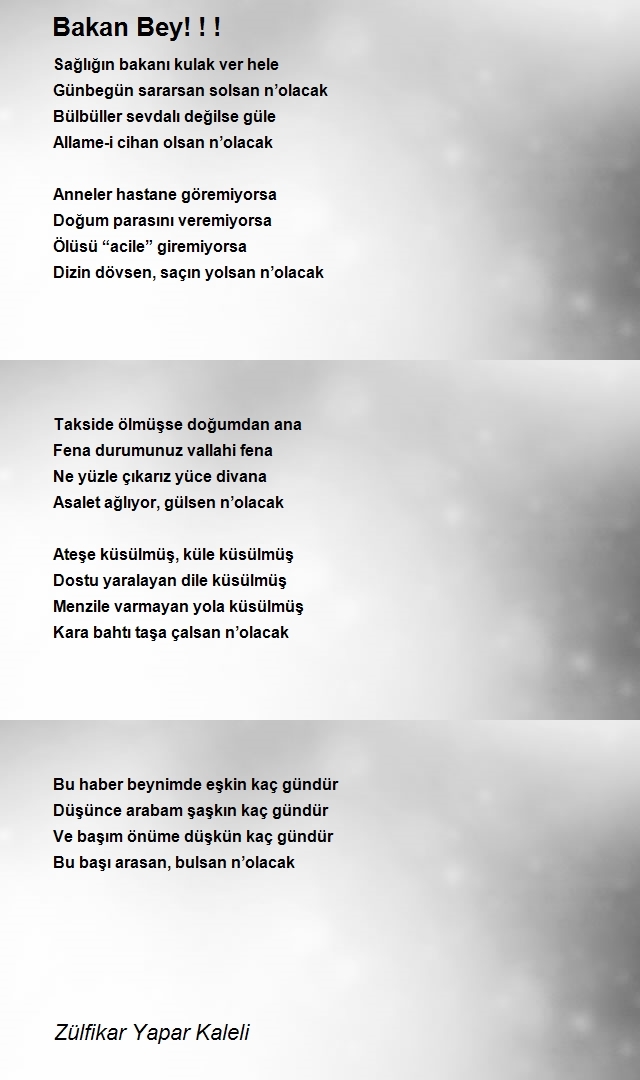 Zülfikar Yapar Kaleli