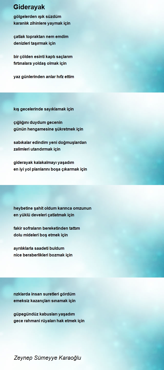 Zeynep Sümeyye Karaoğlu
