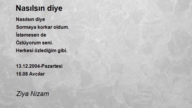 Ziya Nizam