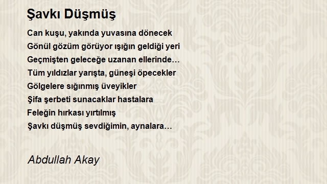 Abdullah Akay
