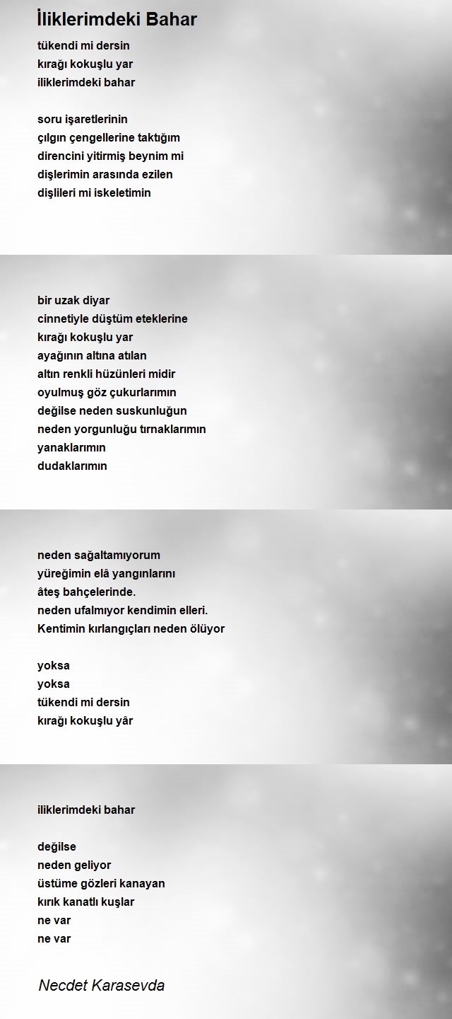 Necdet Karasevda