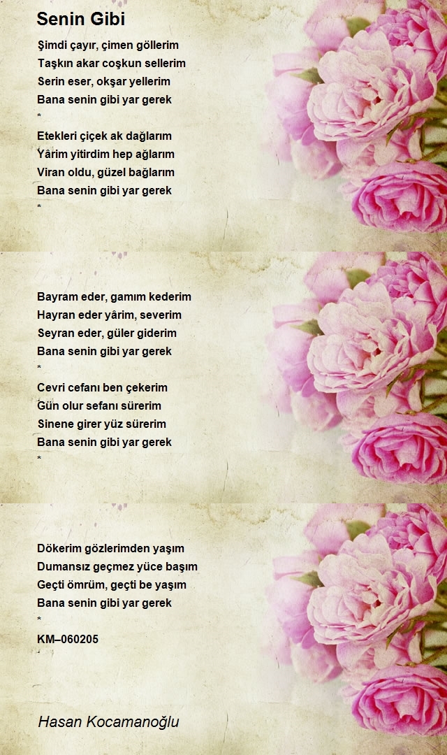 Hasan Kocamanoğlu