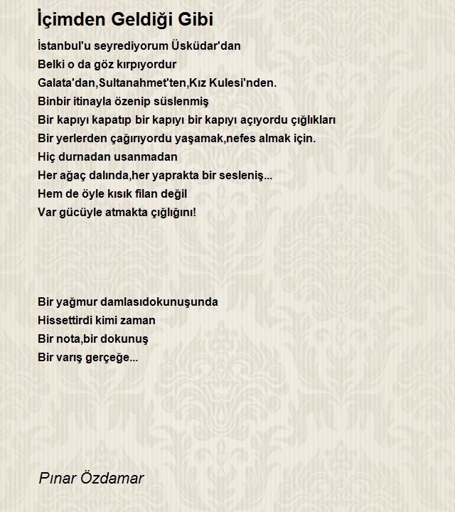 Pınar Özdamar