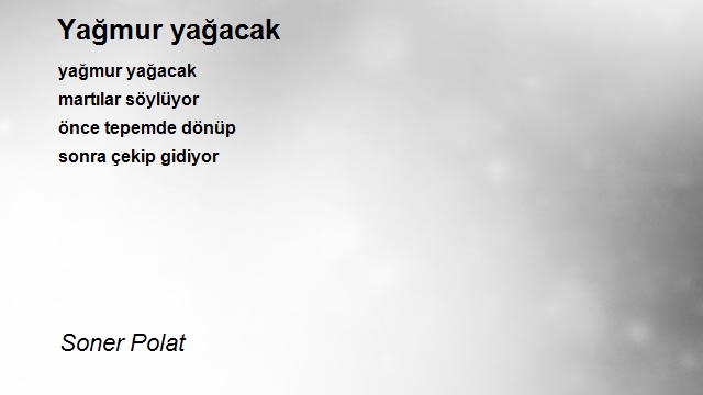 Soner Polat