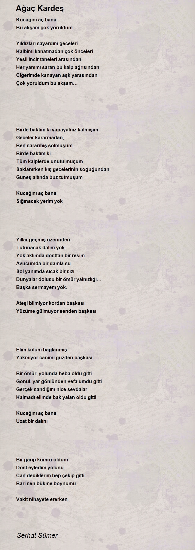 Serhat Sümer