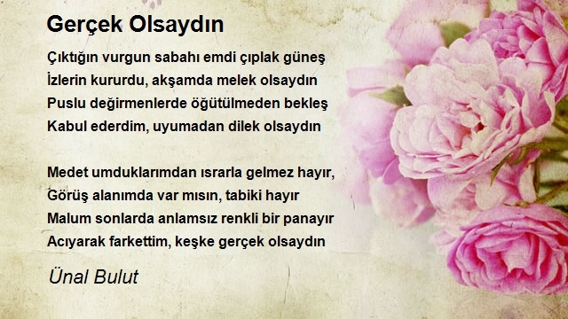 Ünal Bulut