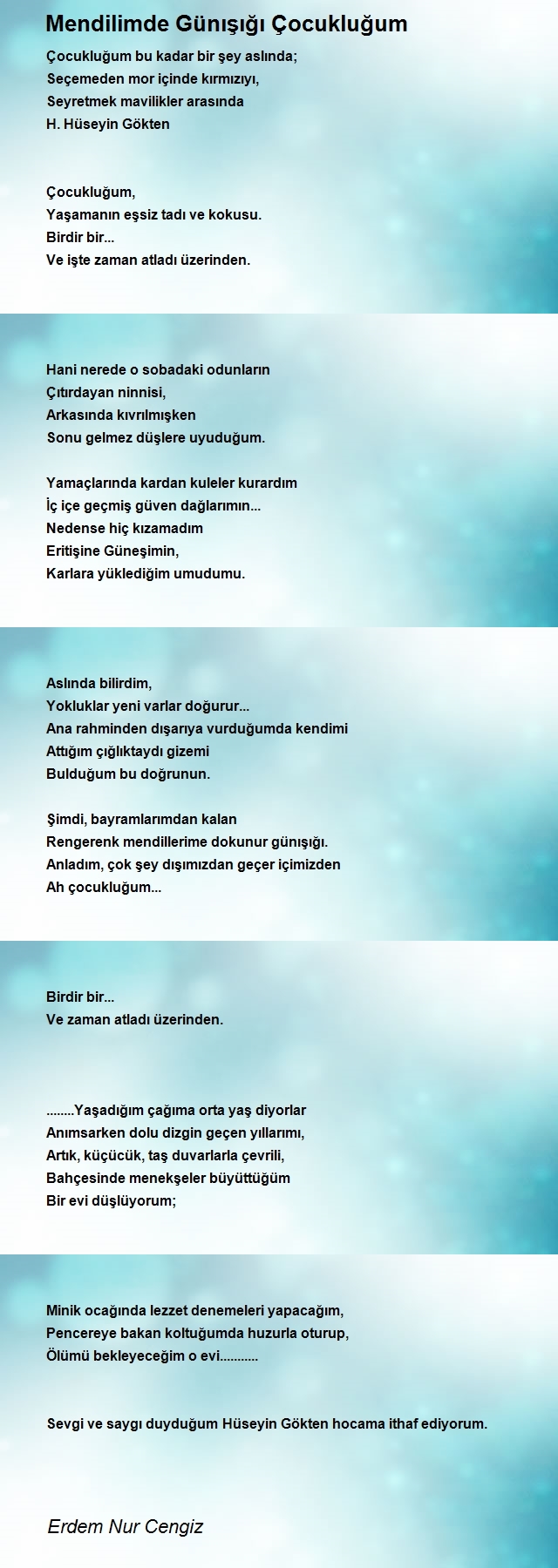 Erdem Nur Cengiz