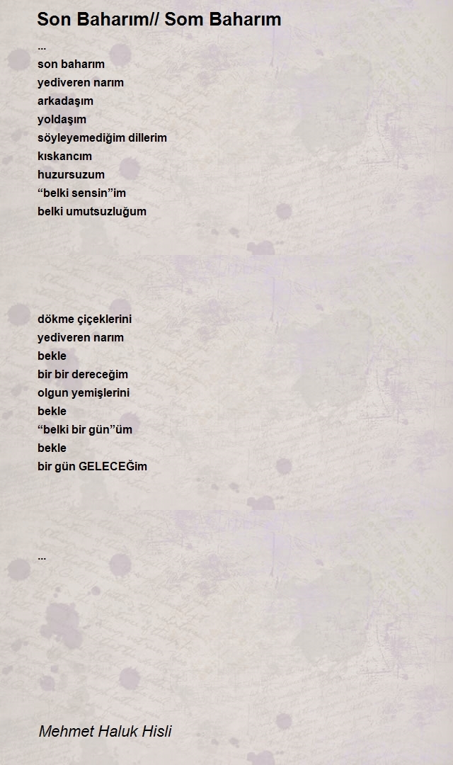 Mehmet Haluk Hisli