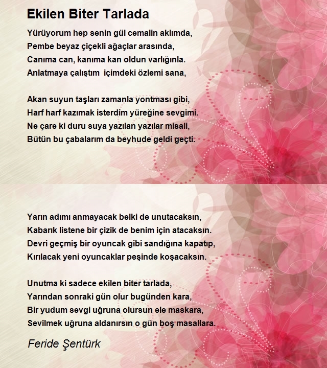 Feride Şentürk