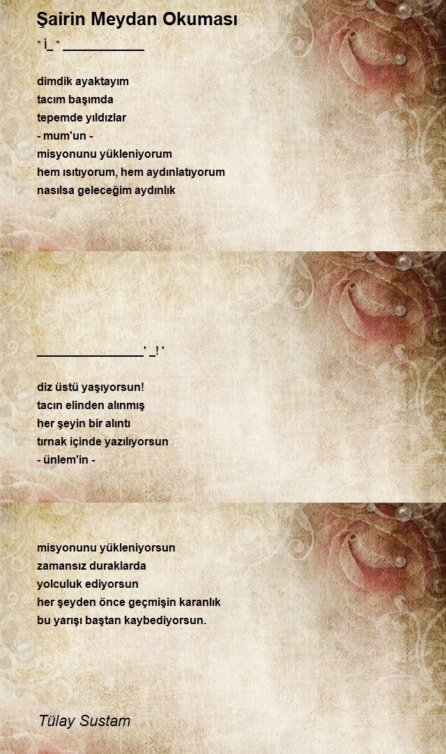 Tülay Sustam