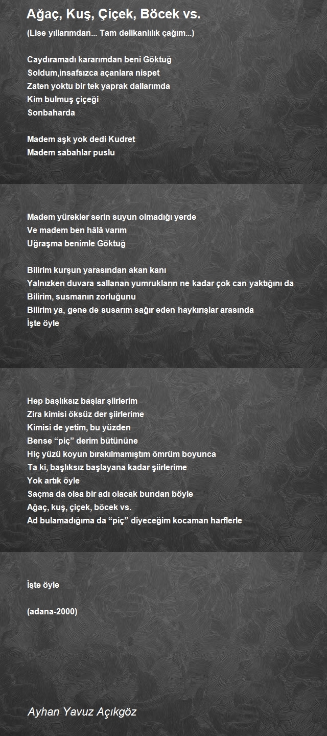 Ayhan Yavuz Açıkgöz