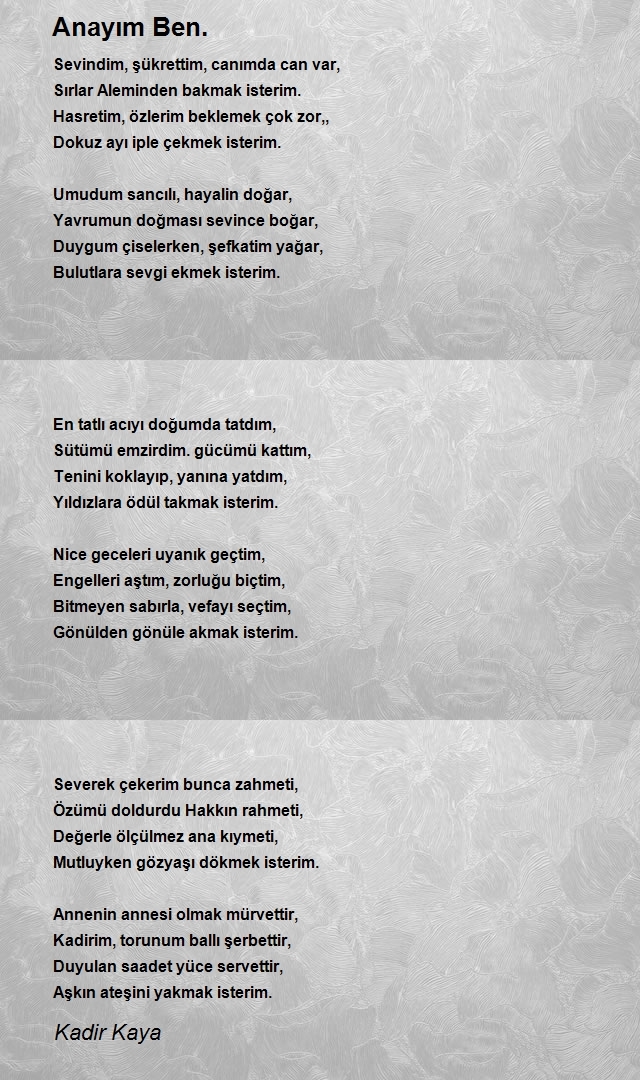 Kadir Kaya