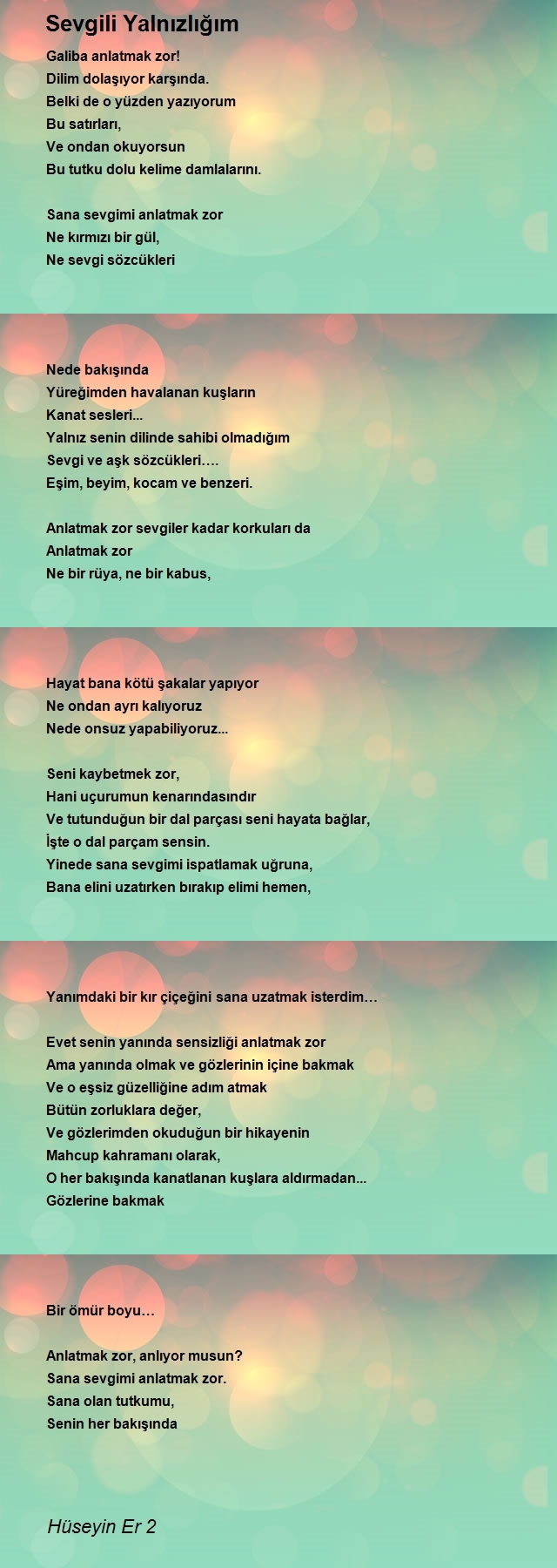 Hüseyin Er 2