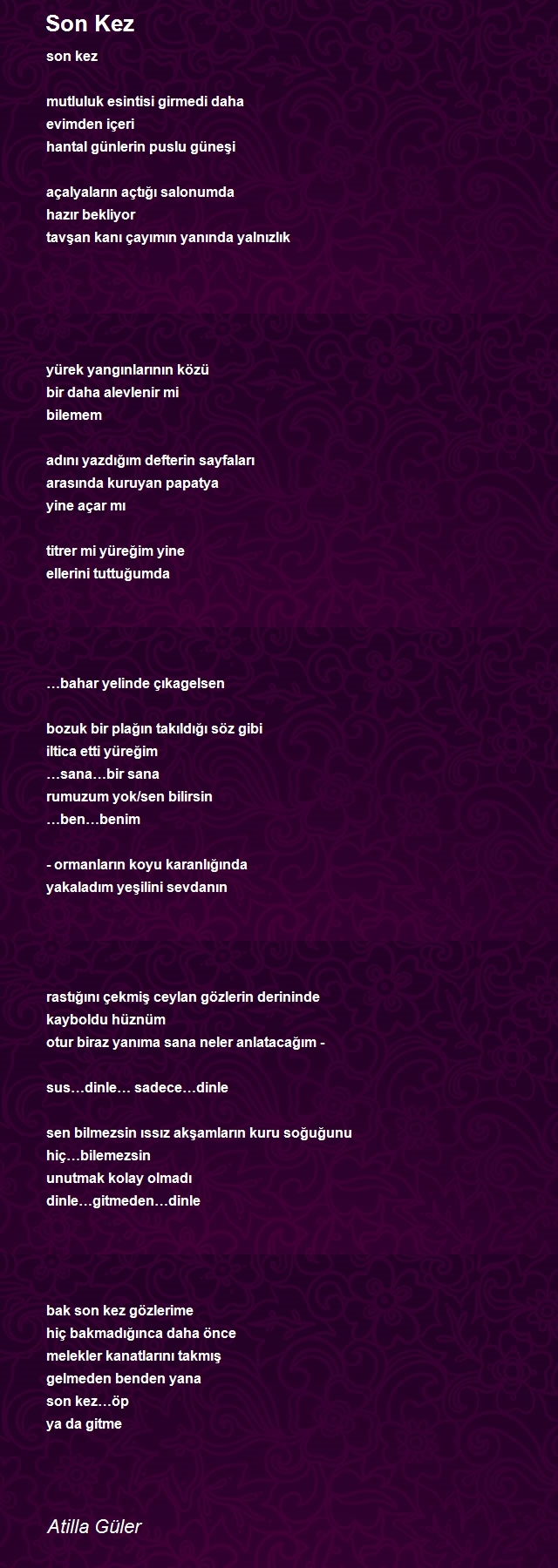Atilla Güler