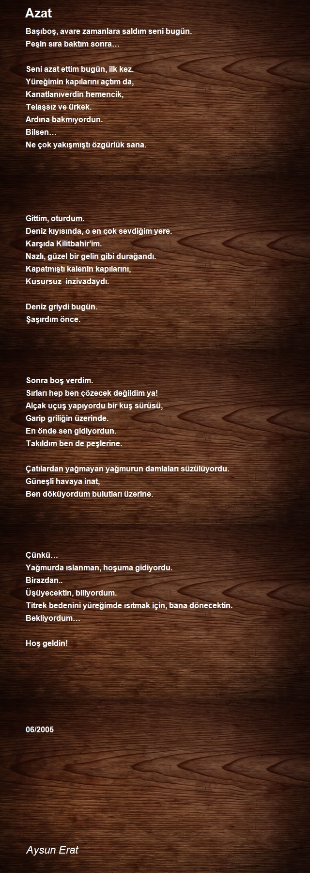 Aysun Erat