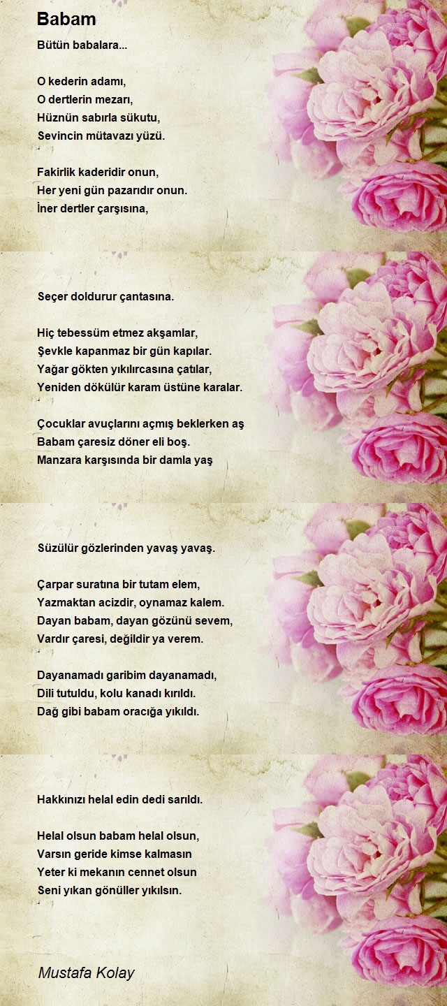Mustafa Kolay