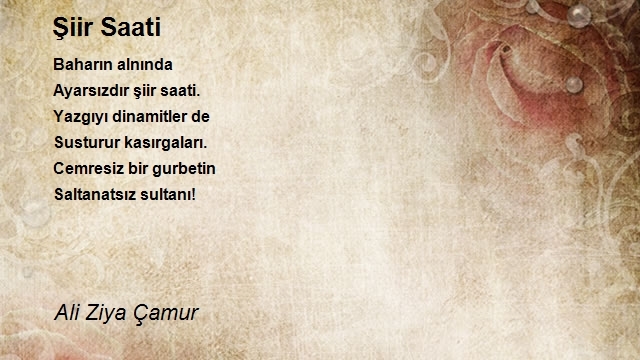 Ali Ziya Çamur