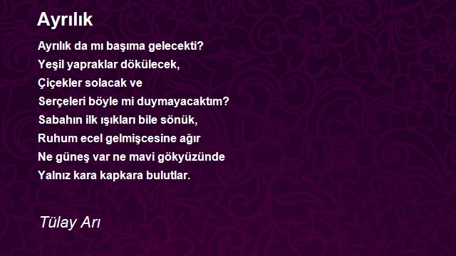 Tülay Arı
